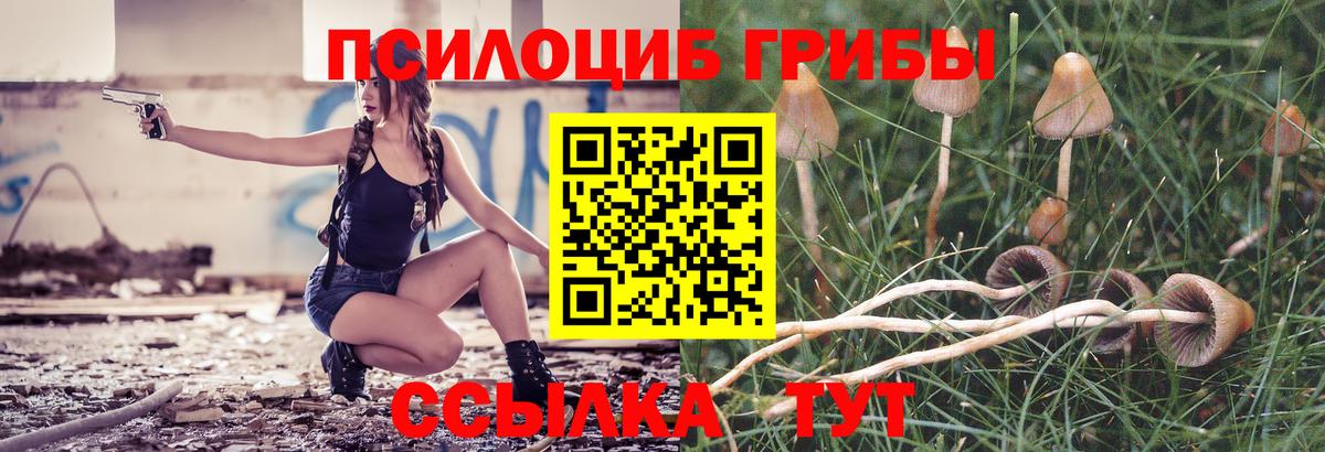 Галлюциногенные грибы Psilocybe  Галлюциногенные грибы Psilocybine cubensis  Вход с VPN  купить   Мегион 